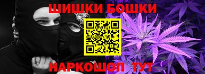 2c-b Новозыбков