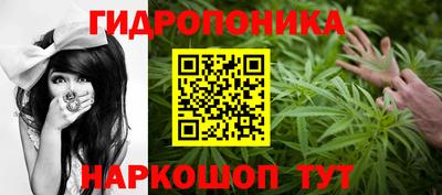 2c-b Новозыбков